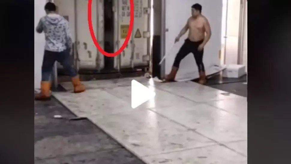 VIDEO – Au deschis ușa camionului că să-l descarce – Ce a urmat întrece orice imaginație