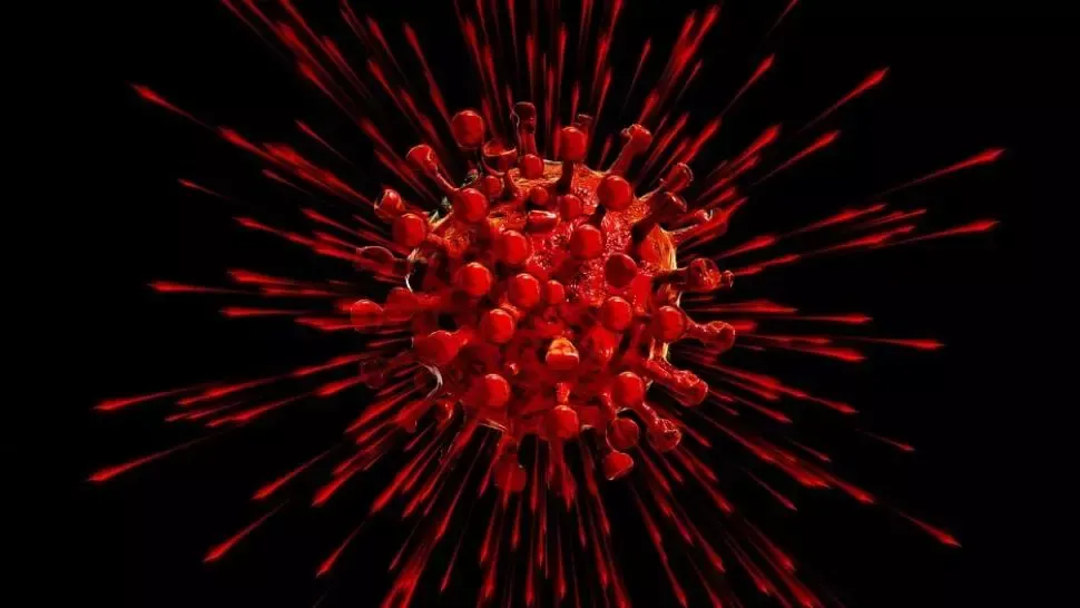 Avertismentul OMS: Să lași ca noul coronavirus să se răspândească pentru imunizarea de turmă NU este o opțiune în lupta cu COVID-19