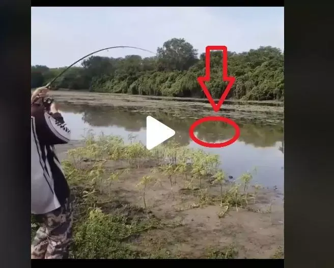 VIDEO – A scos un peste uriaș din apă însă ceva a ieșit din lac și i l-a mâncat pe loc