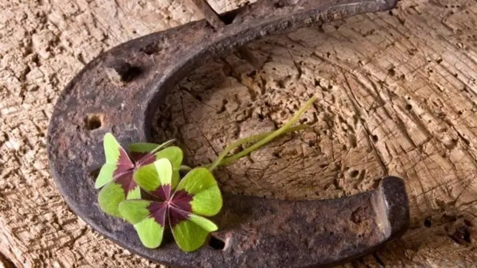 Horoscop 17 noiembrie. Zodia care scoate bani și din piatră seacă. Norocul e de partea ei
