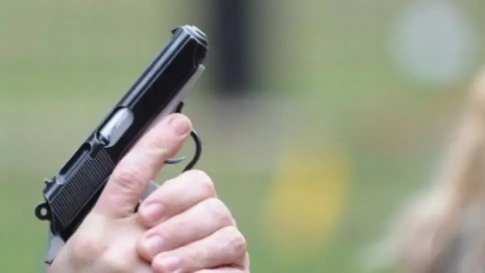 SCANDAL și FOCURI DE ARMĂ într-o comună din Olt: Un pădurar, prins la furat de lemne