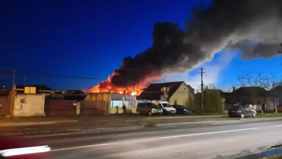 Bărbat reținut de poliție după ce și-a incendiat propria curte. Care este motivul acestui gest extrem