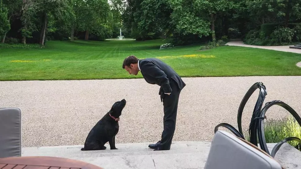 VIDEO Nemo, câinele familiei Macron, videoclip contra abandonului animalelor