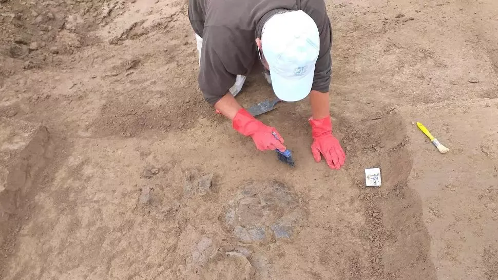 FOTO Descoperire importantă din epoca bronzului lângă Zalău. La ce concluzie au ajuns istoricii