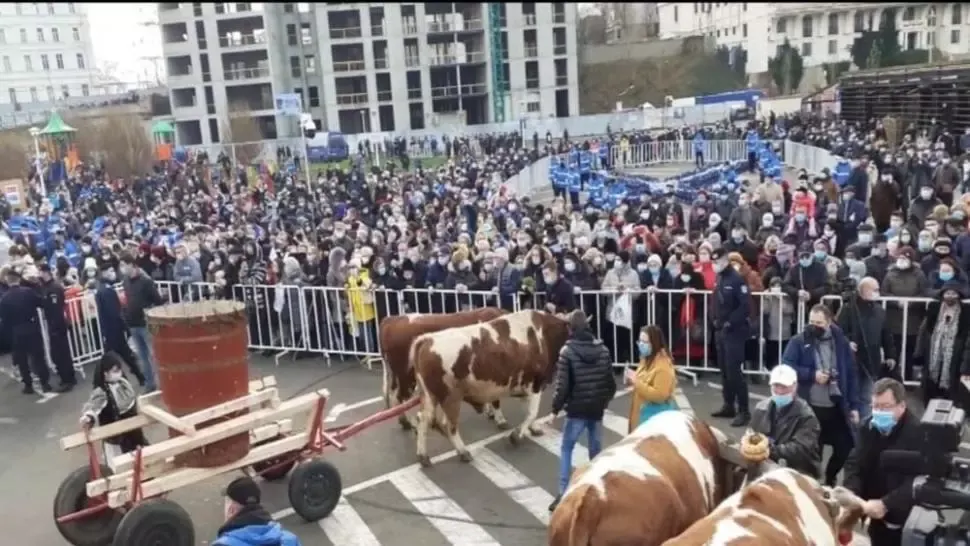 VIDEO/ Românii merg pe mâna tradiției și sărbătoresc Boboteaza în condiții SPECIALE de pandemie. Cum se desfășoară procesiunea la București și Constanța