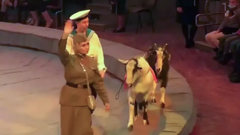 VIDEO Scandal în Rusia, după un număr de circ cu maimuțe și capre "naziste"