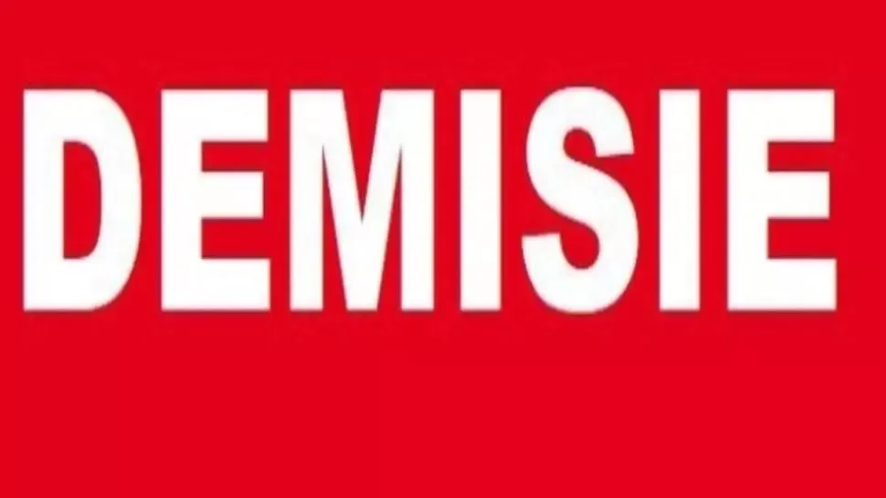 Un ministru acuzat de plagiat a demisionat, în Austria