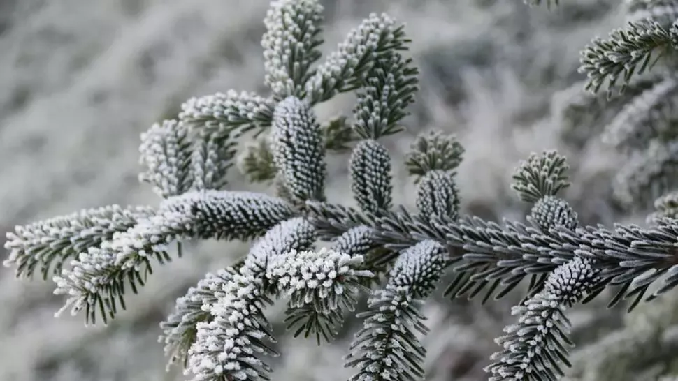 Prognoza meteo 25 ianuarie. Vremea, în răcire: vânt puternic în toată țara