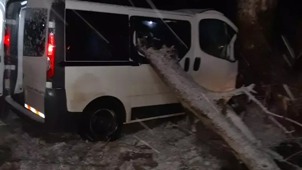 FOTO Accident în Teleorman: Un bărbat a intrat cu mașina într-un copac de pe marginea carosabilului - Victima are multiple traumatisne