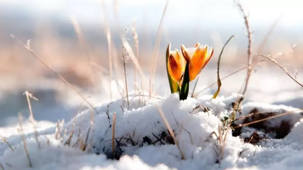 Prognoza meteo pe o lună. Schimbări radicale: temperaturi de primăvară. Vremea până pe 15 februarie 