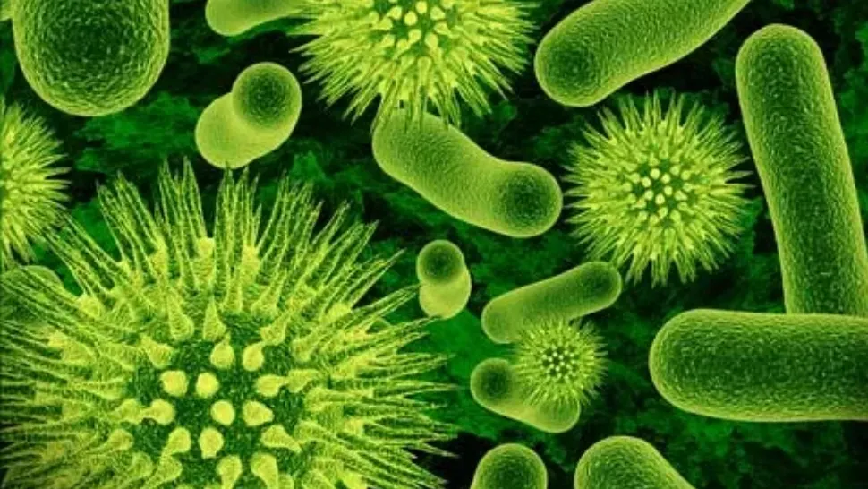 Alertă în SUA după ce un bărbat a murit răpus de ciumă - Cum s-a infectat și ce simptome a avut