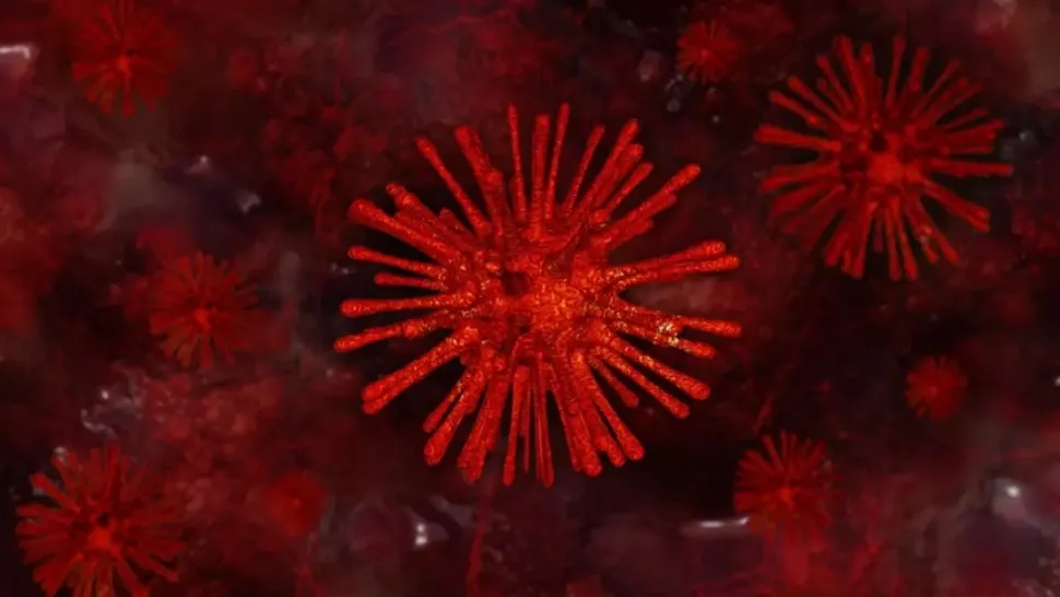 Bilanț coronavirus 8 februarie: 1319 cazuri noi, 80 de decese și 958 de bolnavi la ATI
