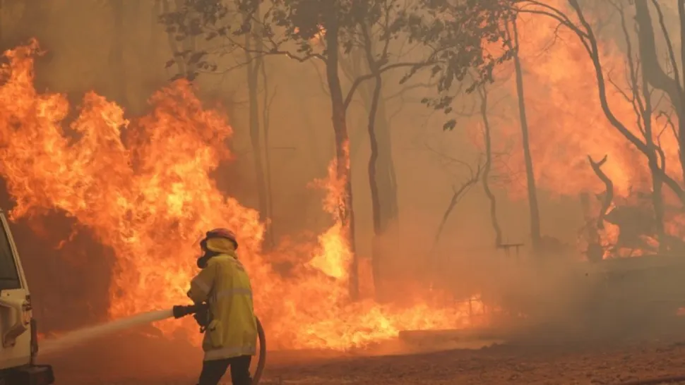 Incendiile de vegetație dau bătăi de cap australienilor din zona Perth. Mii de oameni evacuați