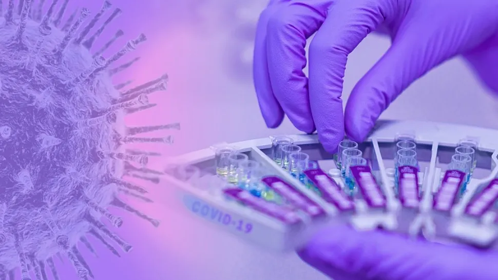 Câini antrenați să îi depisteze pe cei cu coronavirus. Se întâmplă la Sibiu