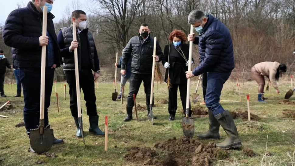 FOTO Marcel Ciolacu a plantat copaci de Ziua Internațională a Pădurilor: Reîmpădurirea României este o necesitate și o prioritate