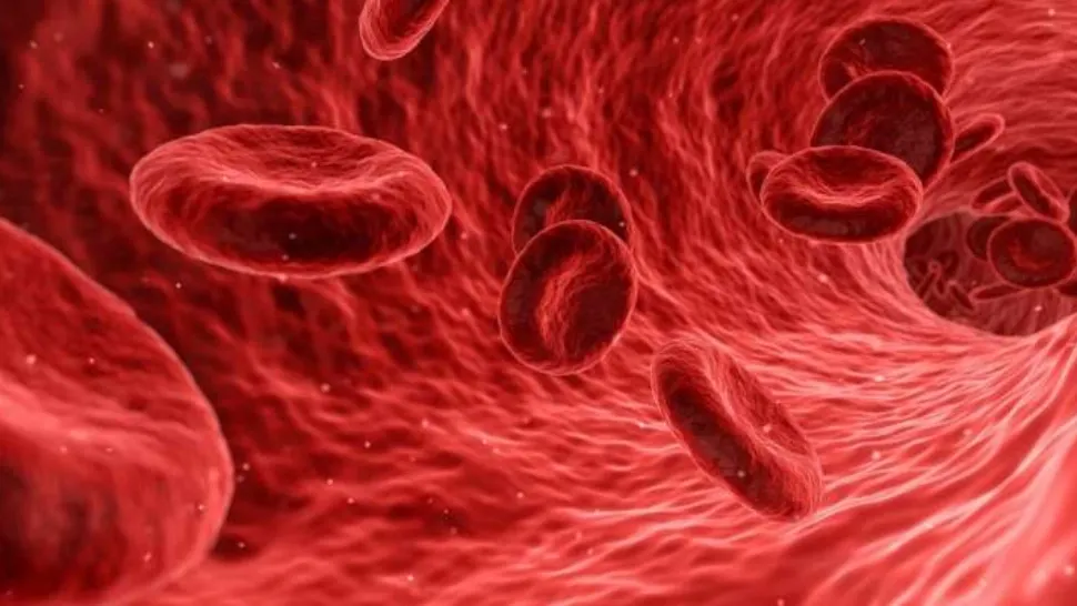 STUDIU: Mai multe tromboze raportate în cazul vaccinării cu Pfizer decât cu AstraZeneca
