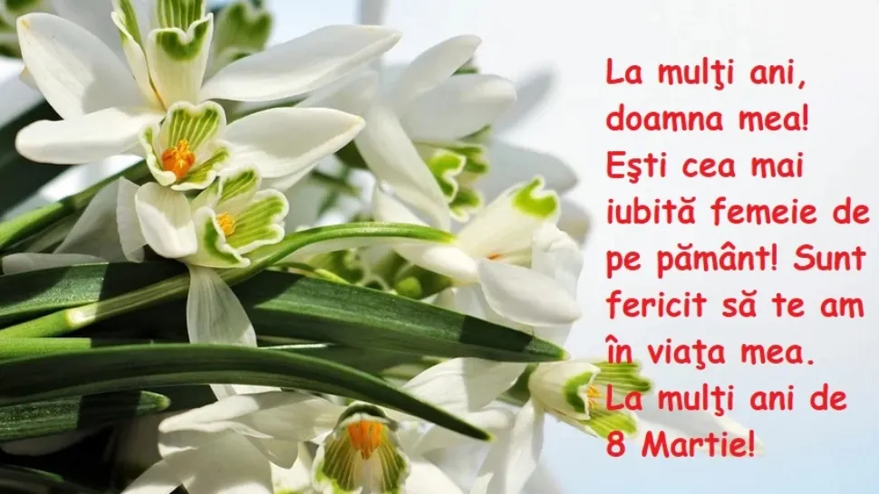 FELICITARI 8 MARTIE // Cele mai frumoase FELICITARI şi MESAJE pentru mama, iubita, sefa, sora