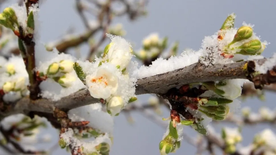 Prognoza meteo pe o lună: schimbări radicale. Vremea până pe 12 aprilie 