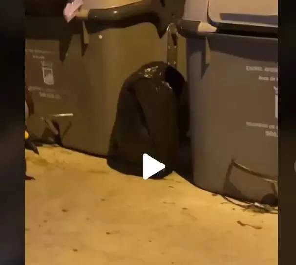 VIDEO – Părea un banal sac de gunoi lăsat lângă pubele. Imaginile arată însă că era cu totul altceva ascuns de poliție
