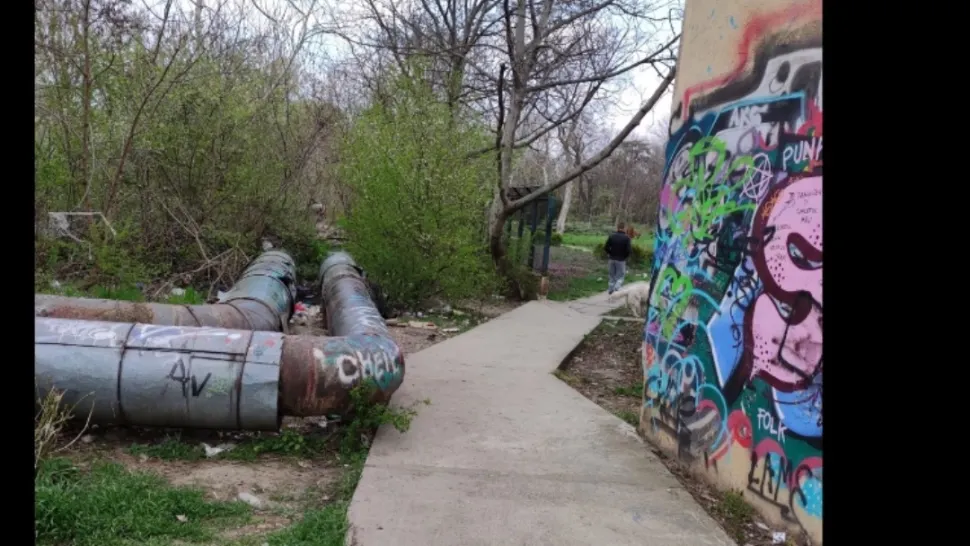 Femeie atacată, lovită și strânsă de gât, în plină zi, într-un parc din Timișoara