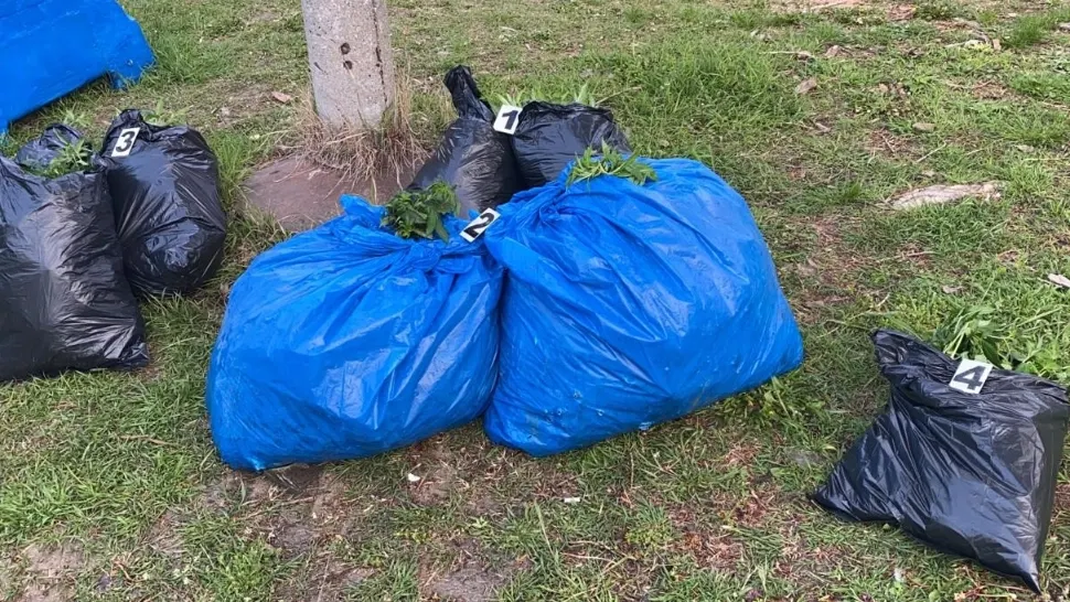 VIDEO Un bărbat şi o femeie, arestaţi la Galați, după ce au aruncat în Dunăre trei saci de cannabis