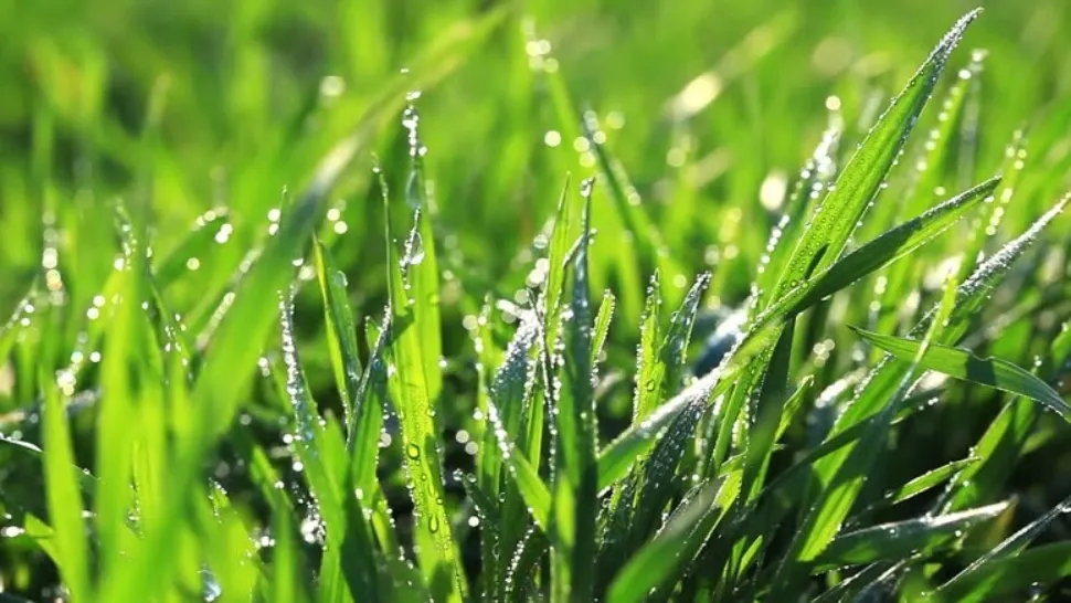 Prognoza meteo 17 mai: vremea extremelor - ploi și temperaturi ridicate. Unde lovesc furtunile