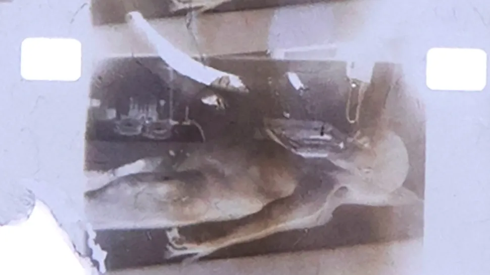 CIA a confirmat autenticitatea filmului cu autopsia "extraterestrului" de la Roswell
