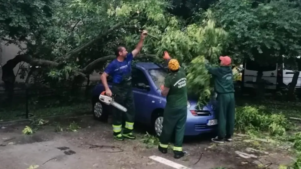 Vijeliile au făcut prăpăd în Prahova. Peste 1.000 de oameni au rămas fără curent electric