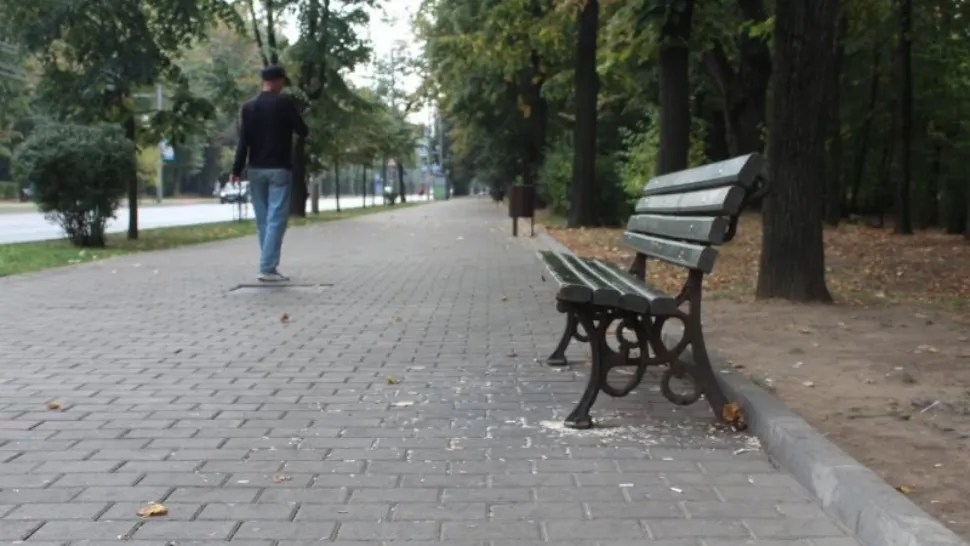 Tânăr amendat de poliție și pus să măture cojile de la semințele pe care le mâncase într-un parc. Alți doi amici ai săi, amendați și ei