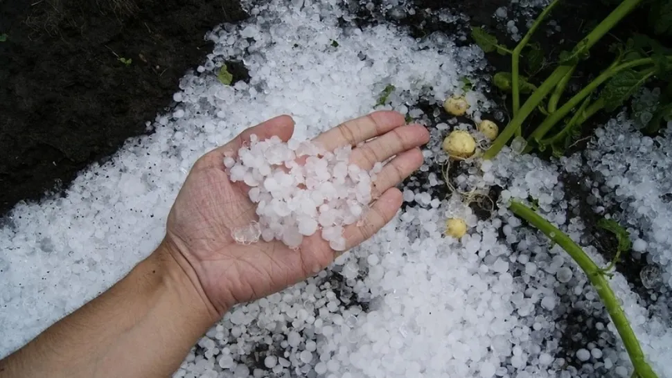 Informare meteo de VIJELII. Unde lovesc PUTERNIC furtunile de GHEAȚĂ. Vremea în București