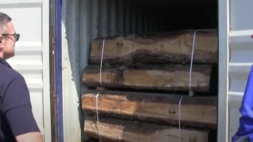 VIDEO - Rușinea României - Săptămânal importăm ilegal tone de deșeuri periculoase din vest și trimitem containere pline cu bușteni în China