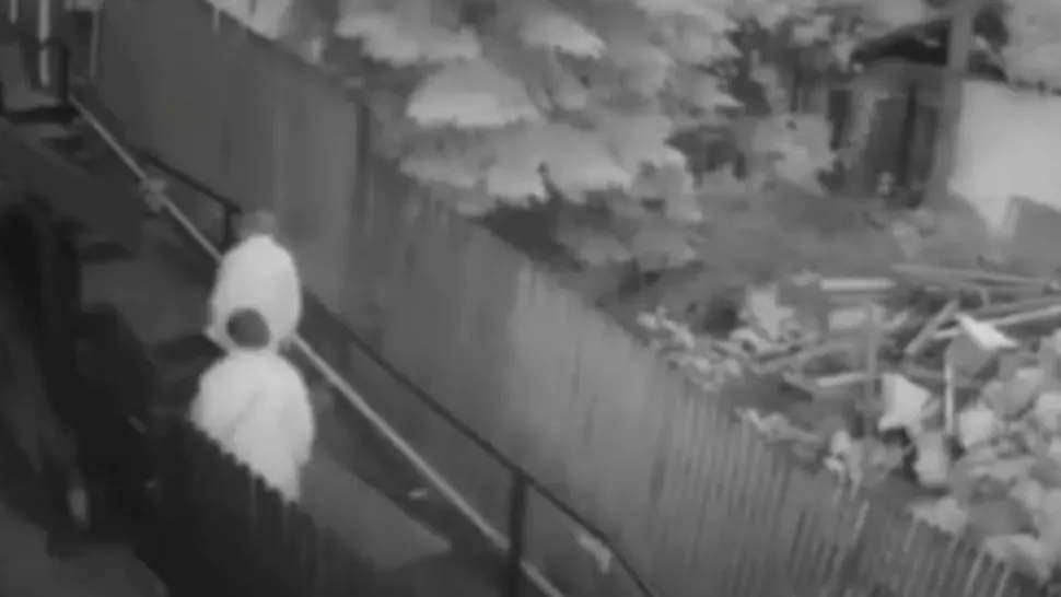 VIDEO| Urs filmat când mergea în spatele unor turiști, în Sinaia 