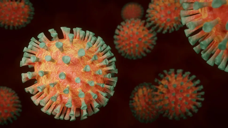 Panică la nivel mondial: un nou VIRUS transmis de animale face victime. Rata mortalității, URIAȘĂ