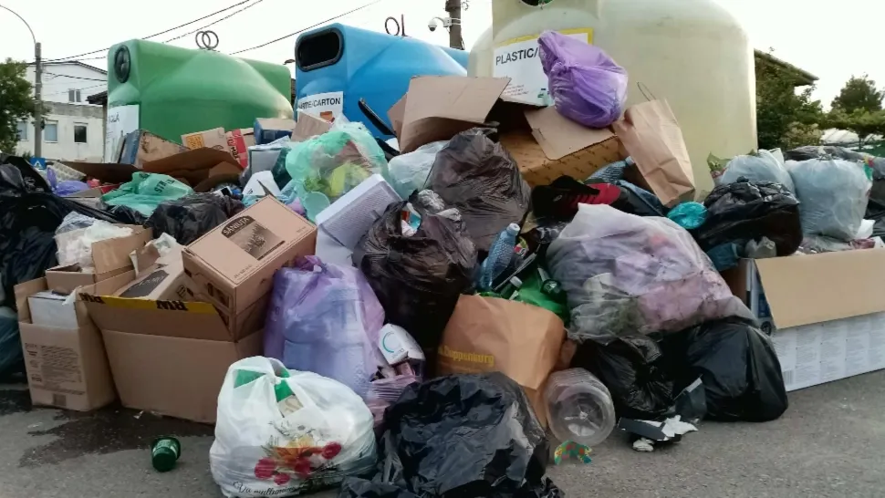 CULISELE STATULUI PARALEL | Inginer de mediu: „La 30 decembrie, de sărbători, o să mergem printre GUNOAIE”