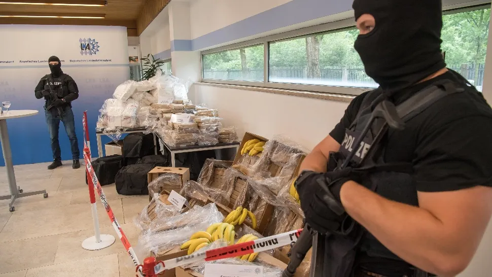 Captură record de COCAINĂ, în România: o jumătate de tonă, descoperită în cutii de BANANE, în Chiajna. ȘOCANT cum a intrat în țară nedepistată