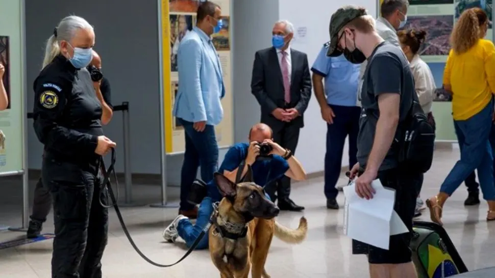 Al DOILEA aeroport din România în care câinii special dresați depistează pasagerii infectați COVID-19 - Anunțul ministrului Lucian Bode 