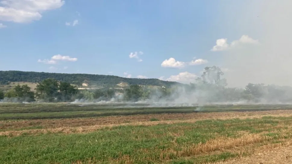 FOTO | Incendiu puternic de vegetaţie în judeţul Mureş! Ard 7 hectare 