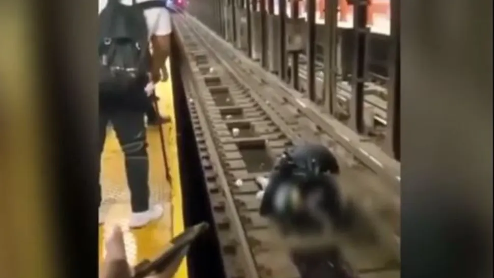 Momentul în care un bărbat căzut pe şinele de la metrou este salvat de un poliţist din Statele Unite | VIDEO - Imagini cu un puternic impact emoțional