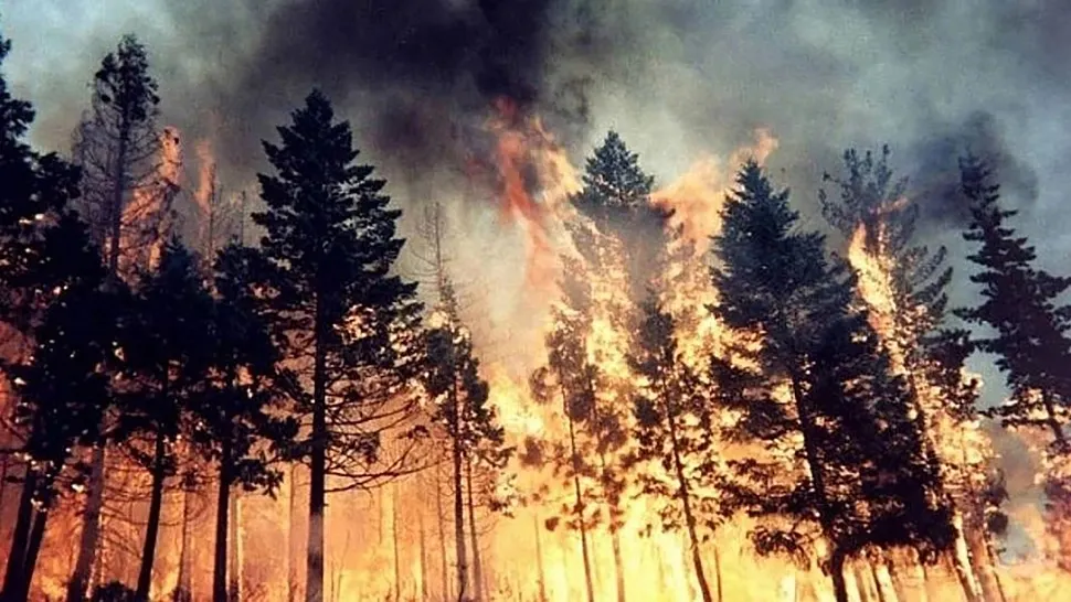 Mai multe regiuni din Rusia, afectate de incendii extreme. Mobilizare uriașă a pompierilor