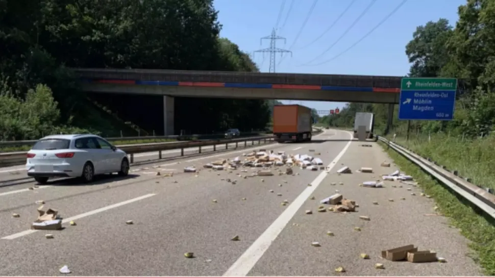 Tone de mâncare pentru pisici, împrăștiate pe o autostradă din Elveția, în urma unui impact violent 