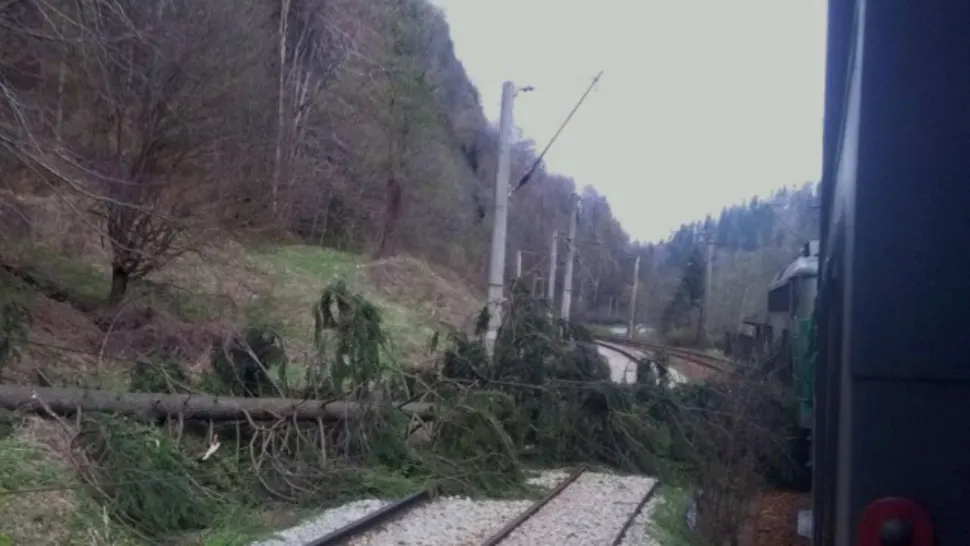 Trenuri de călători BLOCATE în Cluj, Iași și Brașov din cauza COPACILOR prăbușiți pe calea ferată