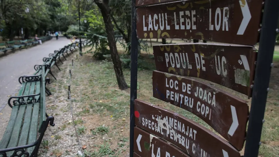 VODEO / Curățenie de mântuială în Parcul Cișmigiu. Ce spun bucureștenii
