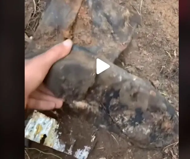 VIDEO – A săpat o groapă în curte și a găsit un obiect – Povestea extrem de tristă din spatele descoperirii