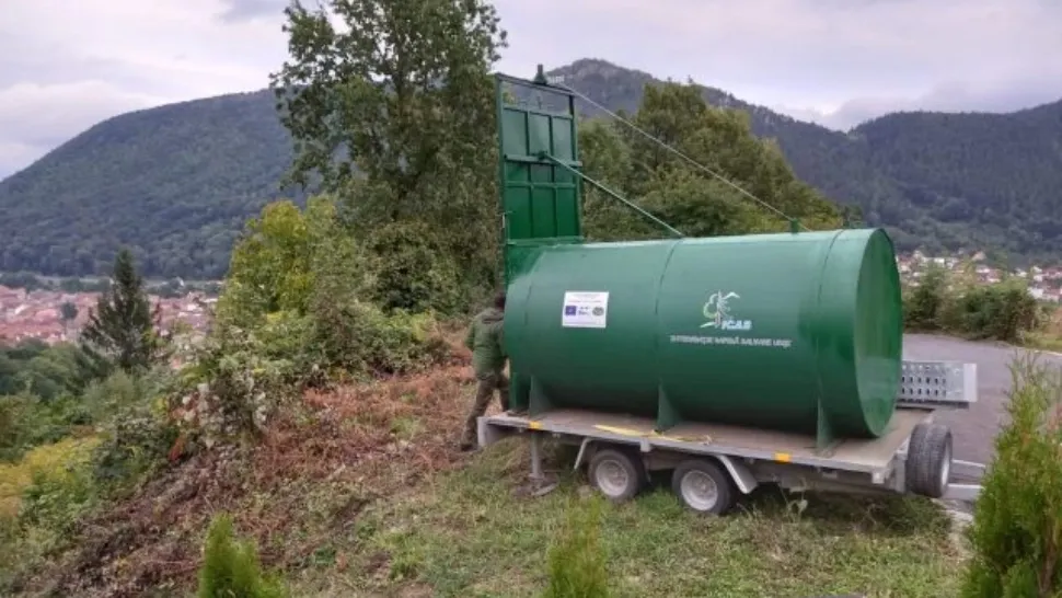 Container-capcană pentru prinderea urșilor care-i terorizează pe localnici, în Brașov