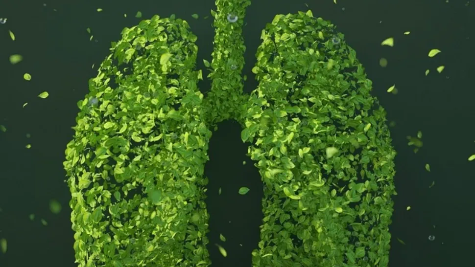 Cum îţi detoxifici plămânii în 48 de ore. Cura pe care toată lumea trebuie să o urmeze