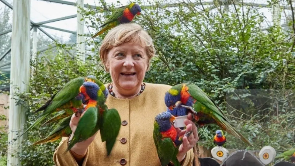 26 septembrie | Alegeri în Germania. Angela Merkel iese din scenă după 16 ani