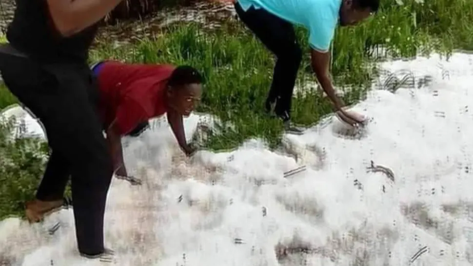 FOTO + VIDEO | Zăpadă abundentă în centrul Africii. Imagini spectaculoase cu prima bătaie cu bulgări