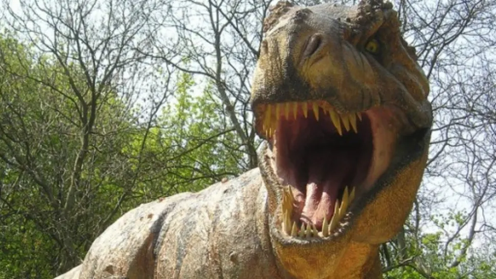 Omenirea, somată de un dinozaur la ONU 