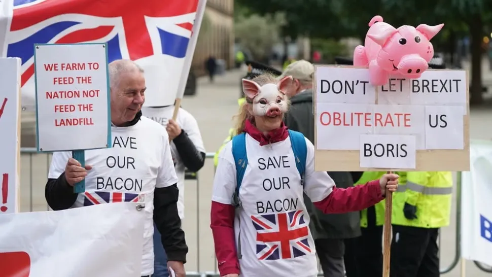 Marea Britanie caută disperată măcelari din Europa de Est, în ferme nu mai are cine să taie animalele