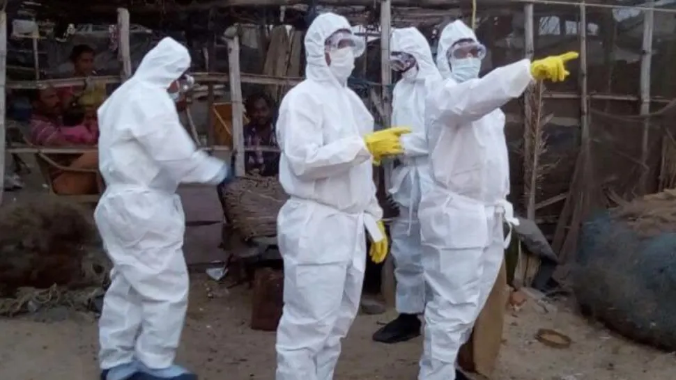 ALERTĂ! Gripa AVIARĂ din nou în România. La cine a fost depistat virusul 